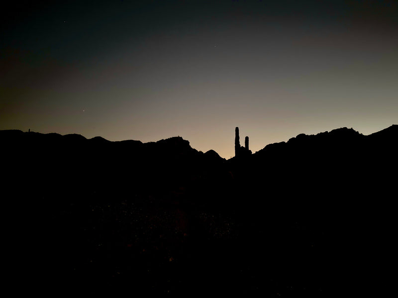 Load image into Gallery viewer, Fenix Bike Light BOGO Combo