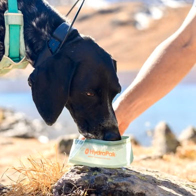 Load image into Gallery viewer, HydraPak Rover Dog Bowl
