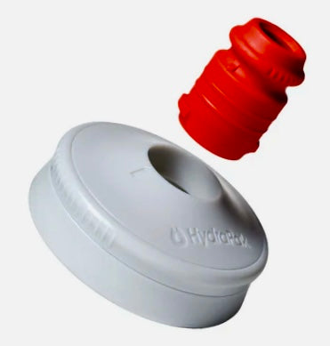*NEW* Polar Insulated Water Bottles