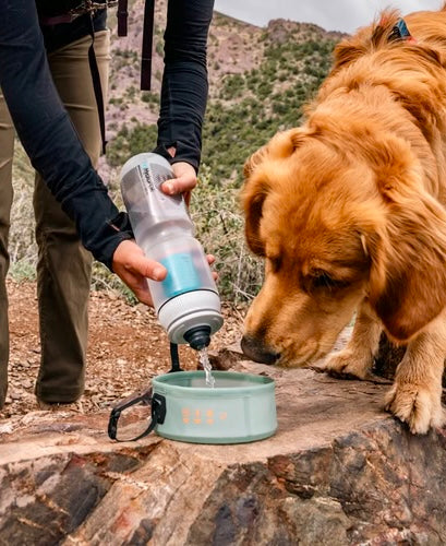 Load image into Gallery viewer, HydraPak Rover Dog Bowl
