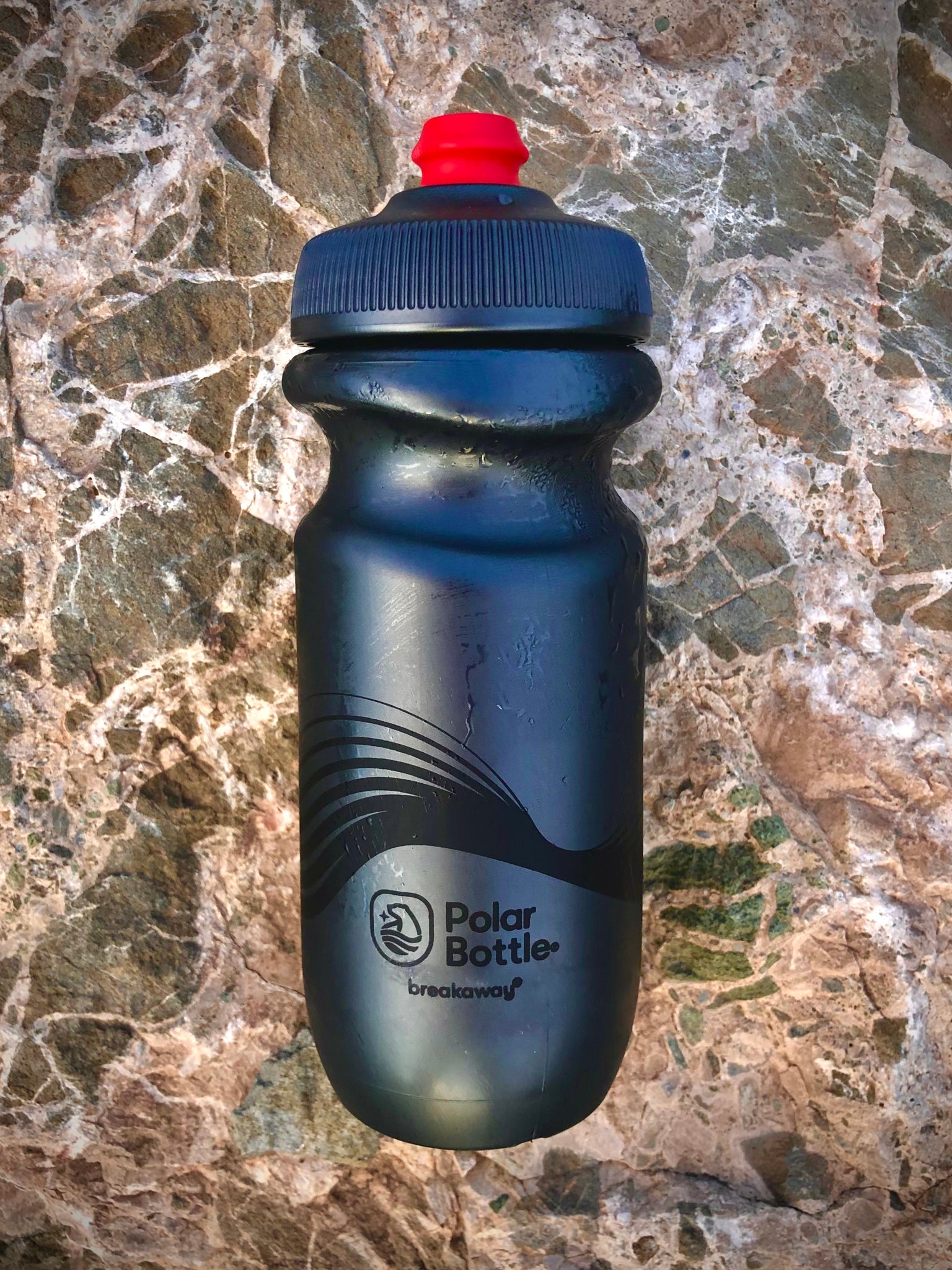 Polar Bottle Insulated Water Bottle (20-Ounce, Graphic Blue)