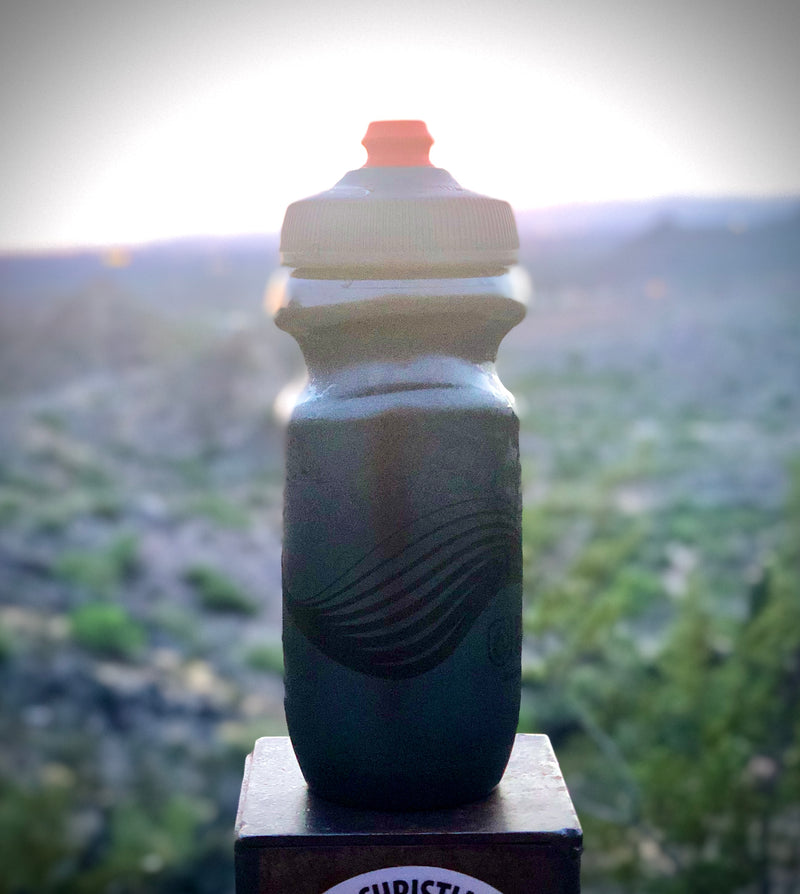 Load image into Gallery viewer, Polar Water Bottles
